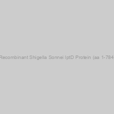 Image of Recombinant Shigella Sonnei lptD Protein (aa 1-784)